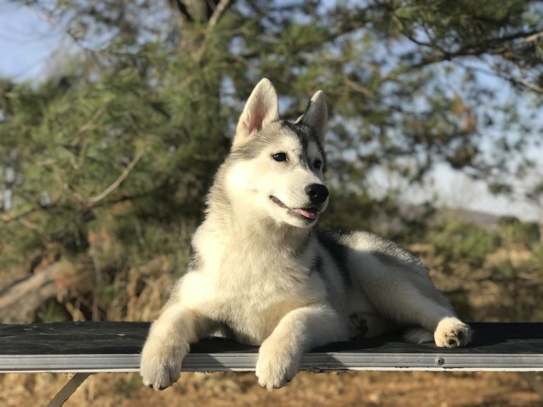 64745210-9E14-4B5A-9320-9D5EF4A1EE04