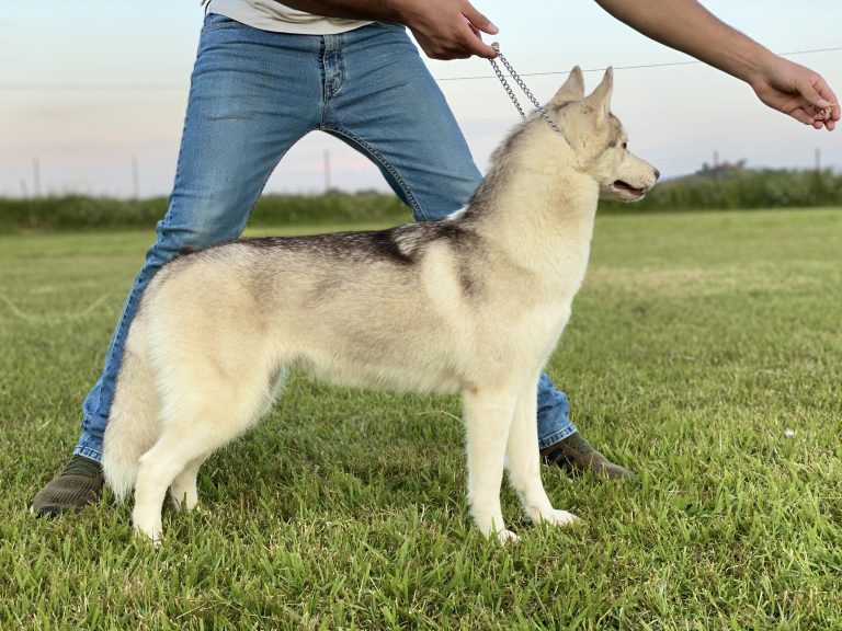 F53F1D09-C298-4D83-B0D2-64DC8C5C48DB