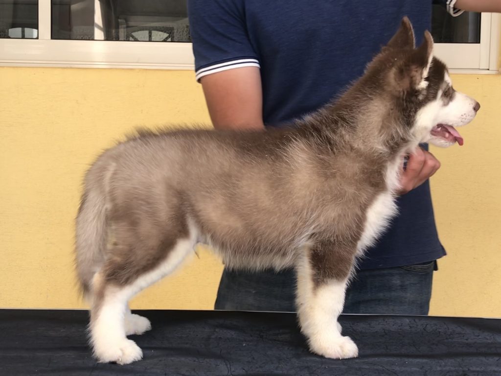 F76BF543-DBFD-44EC-A200-535FF3C38D70