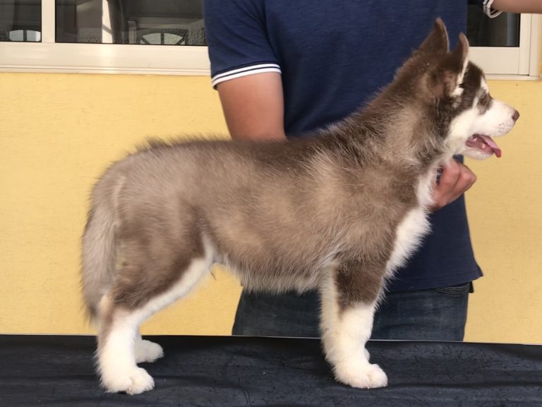 F76BF543-DBFD-44EC-A200-535FF3C38D70