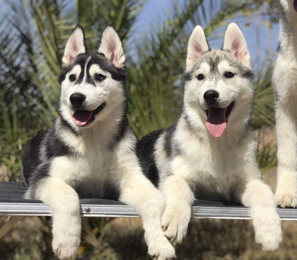 2A821352-813A-460C-A36B-27CD72C44A86