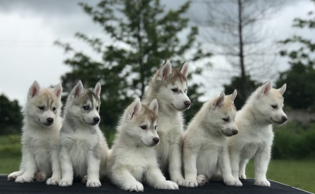 CBEE90F6-806C-40DA-979C-E3E5486D23FB