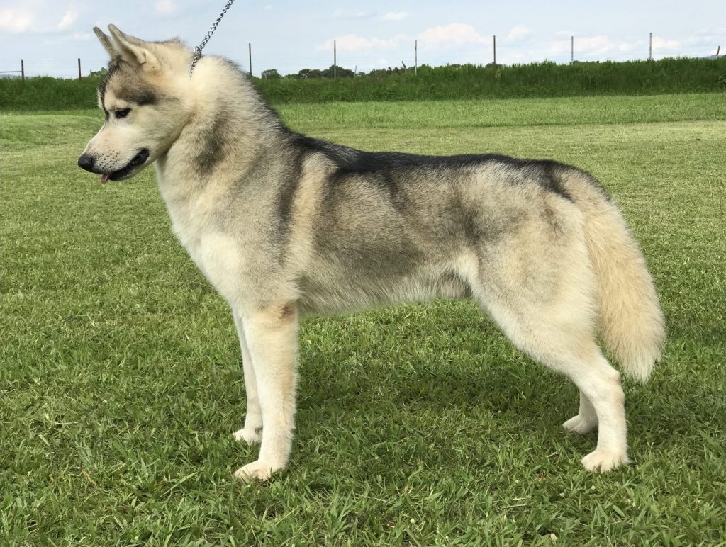 FBCA382A-79E4-43A9-8072-5E64F09EDD96