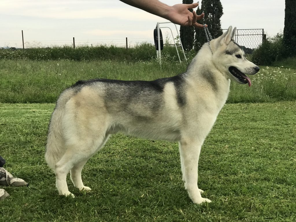 7BA6C95A-9403-4CF5-BF7F-2ED1D16311F3