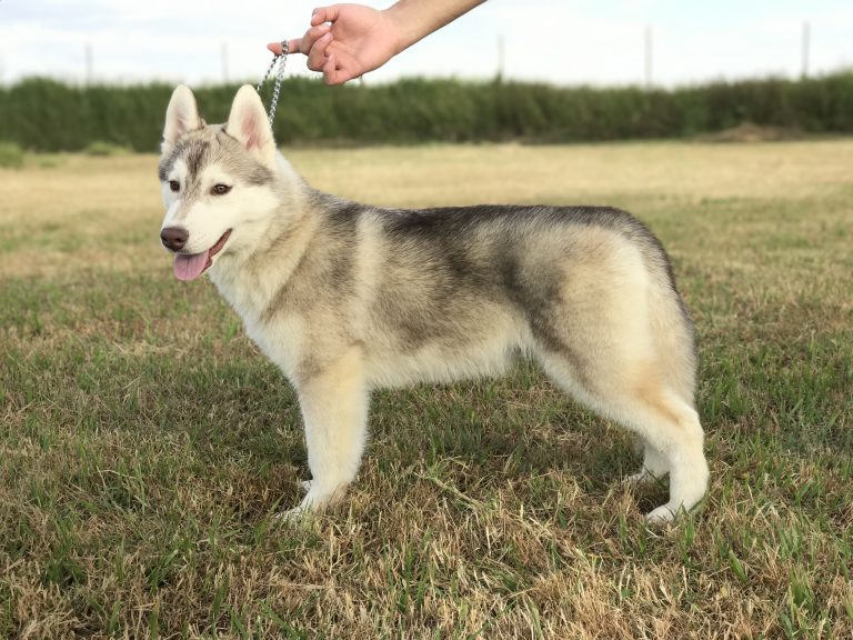 01F47636-9BA5-42EC-AD61-F42C2BB46222