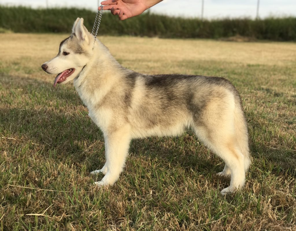 D3AFA5DE-1306-44AD-8C74-C0D3D72A350A