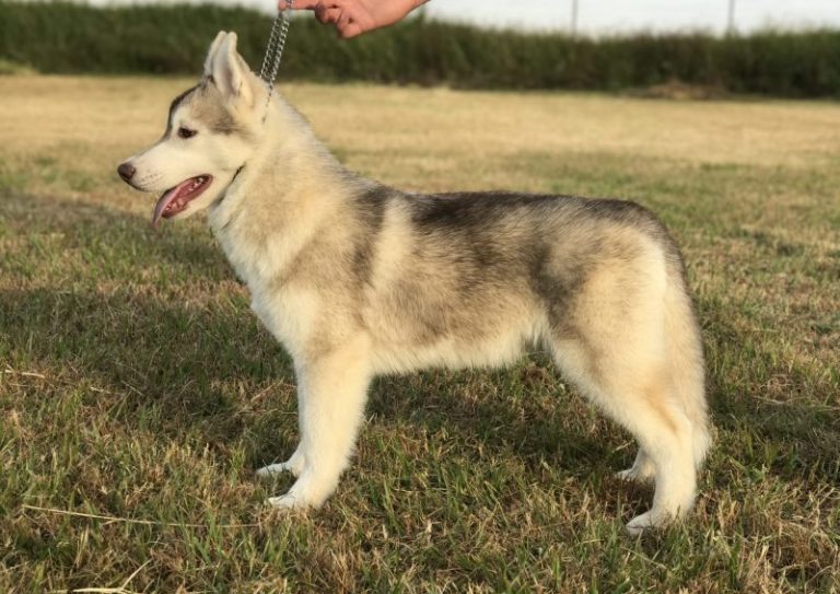 D3AFA5DE-1306-44AD-8C74-C0D3D72A350A