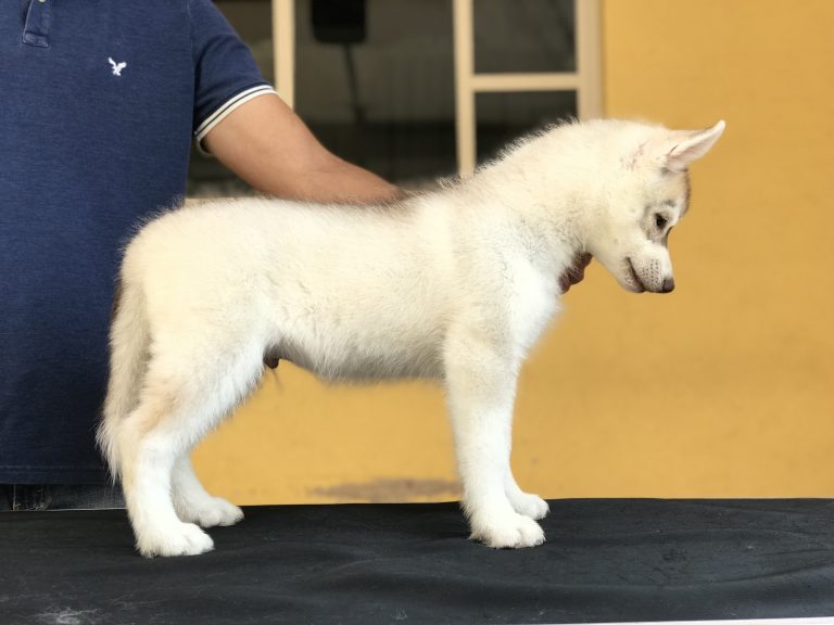 BA422DD6-6566-4CD2-96ED-0622AAA80EDE